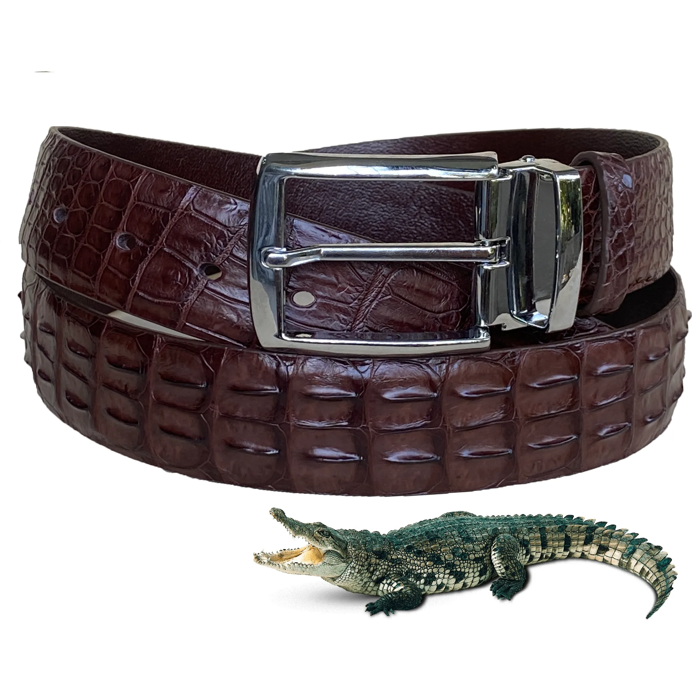 Luxury Dark Brown Alligator HornBack Leather Belt For Men - Pin Buckle | BEHO33-PIN