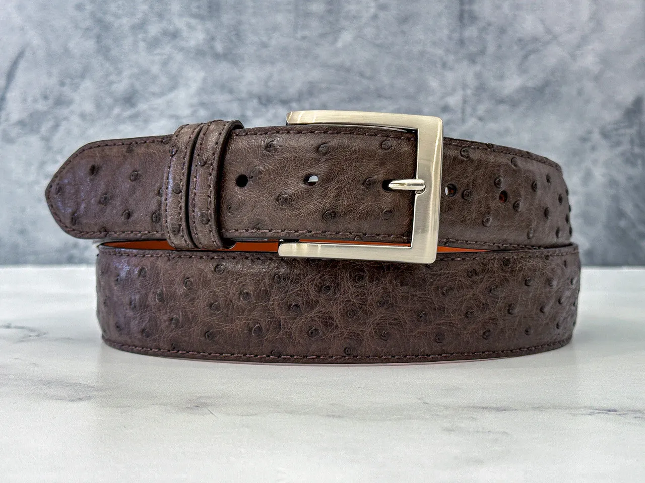 Ostrich Quill Belt: Dark Brown