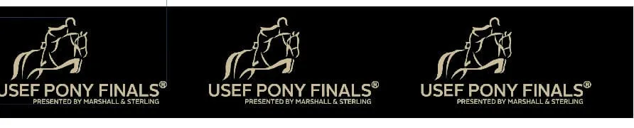 Stretch Belt- Pony Finals 2024 ( 2" Black/Tan)
