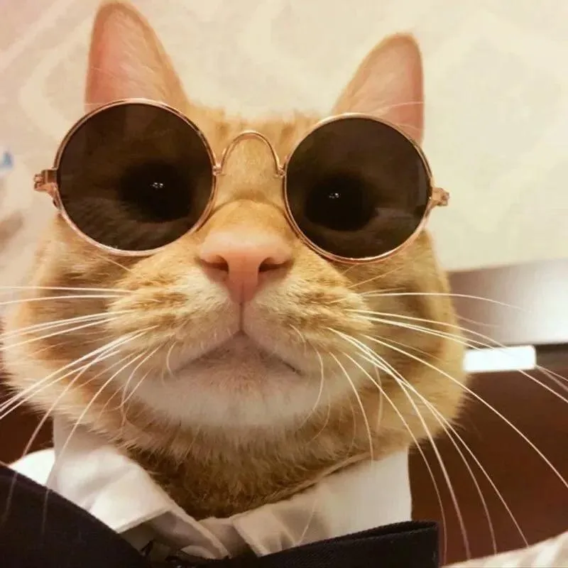 Vintage Round Pet Sunglasses