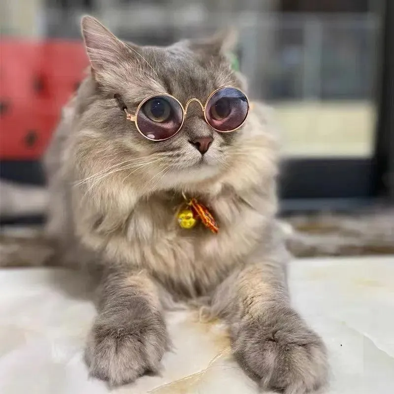 Vintage Round Pet Sunglasses